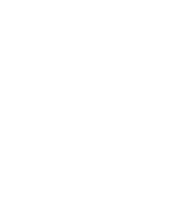 Icondesign zum Thema Bioresonanz